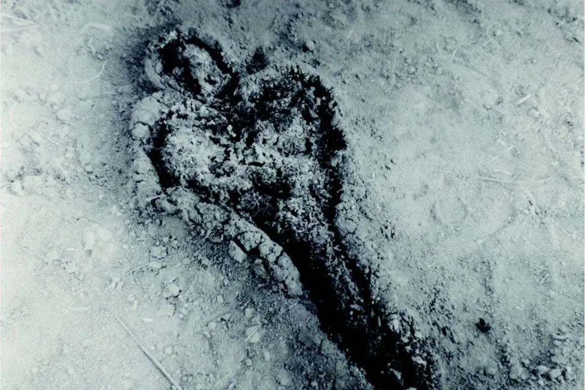 Silueta humana en tierra, una de las obras de Ana Mendieta, evocando la conexión con la naturaleza y la huella del cuerpo.