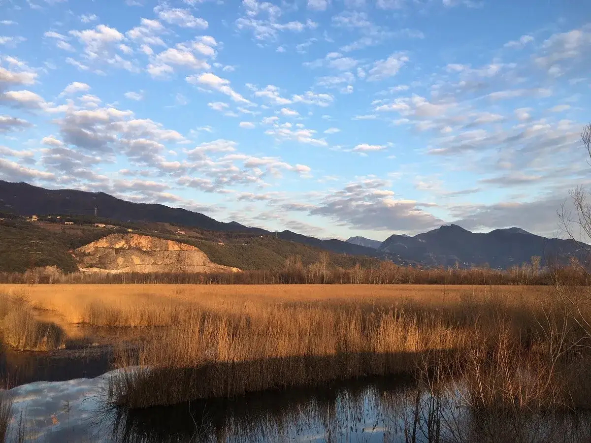 Un tramonto dorato illumina le canne del lago di Porta, con montagne scure sullo sfondo e un cielo azzurro punteggiato di nuvole.