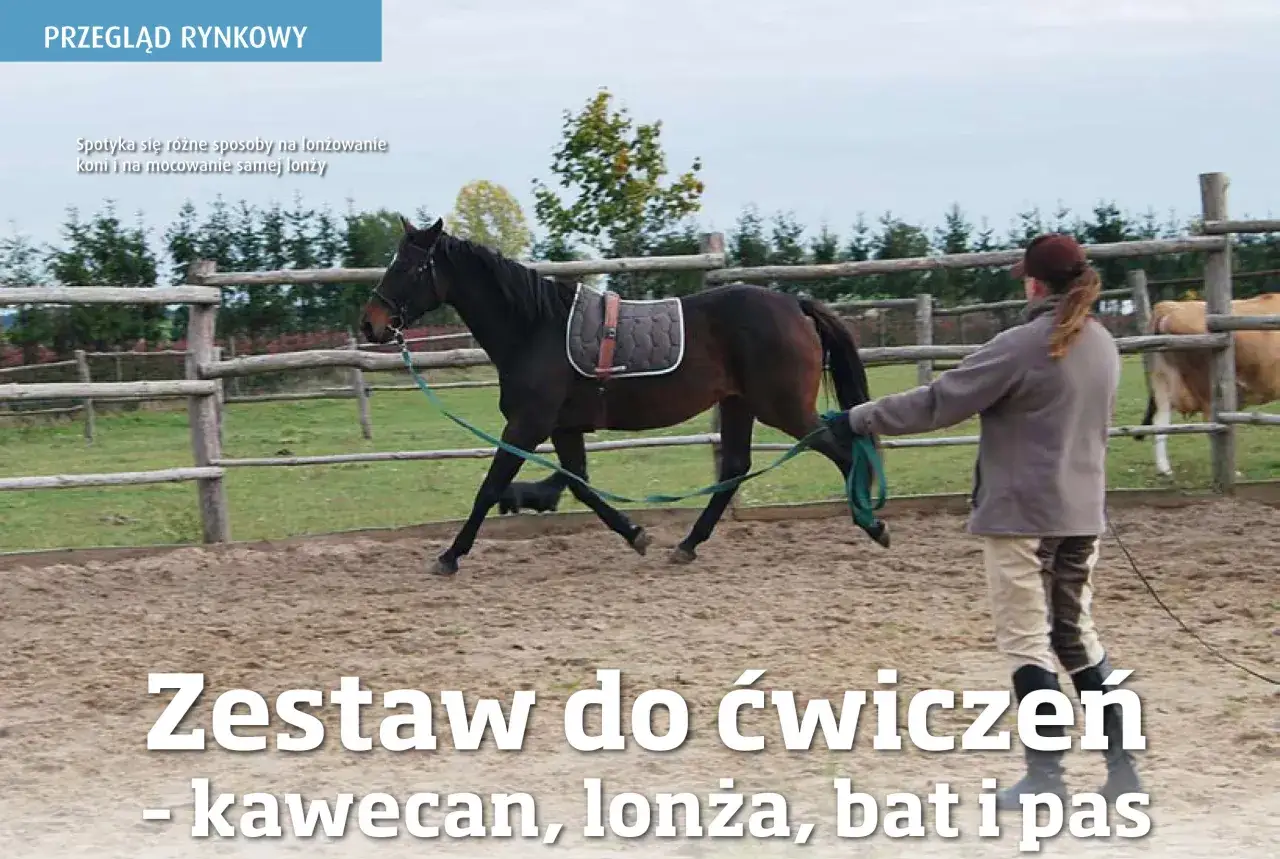 Zaawansowane ćwiczenia lonżowania konia