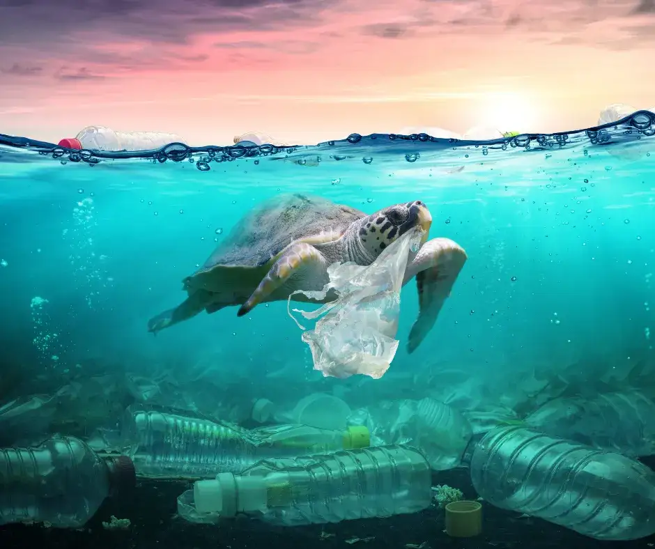 Słomki plastikowe zanieczyszczające ocean