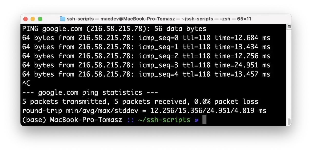 Terminal z wynikami komendy ping do google.com, pokazujący statystyki pakiet&oacute;w i czasy odpowiedzi.
