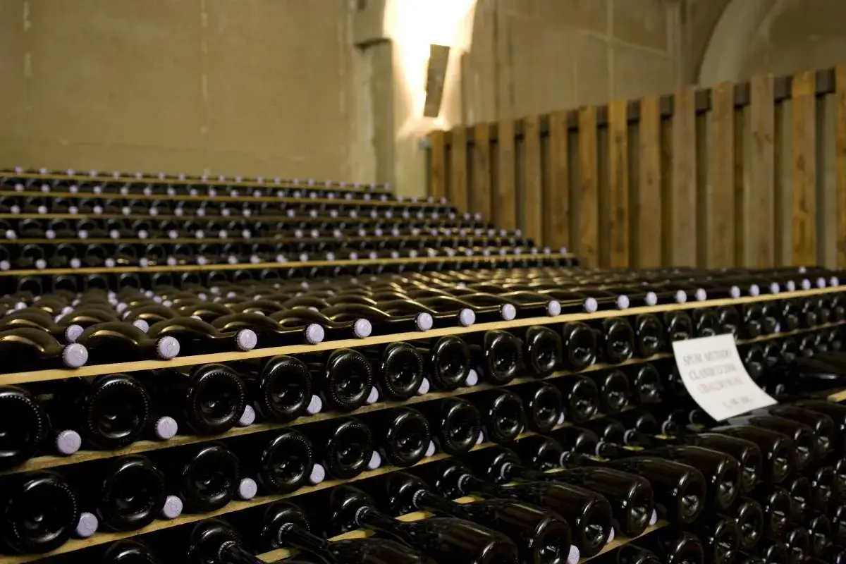 Scaffali pieni di bottiglie di vino scuro, pronte per il dégorgement, significato di un processo chiave nella produzione di spumanti.