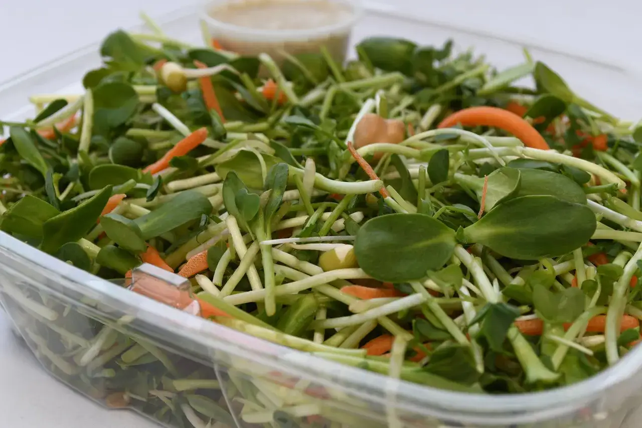 Ensalada fresca con abundantes brotes tiernos, zanahoria rallada y un aderezo cremoso al fondo.