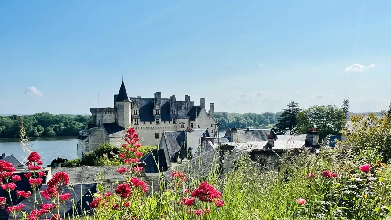 Magnifique château de Saumur en visite, avec des fleurs rouges éclatantes au premier plan. Un paysage de rêve.