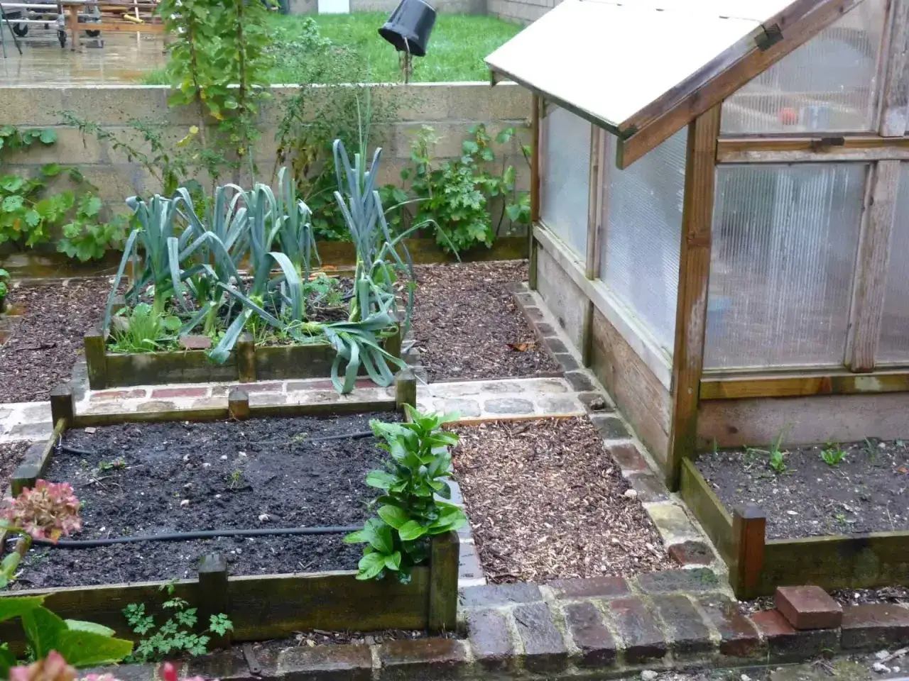 Un petit jardin potager avec des poireaux, une serre et des parterres de culture.