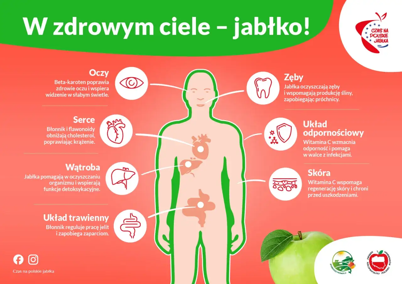 Zdjęcie Jabłka dziennie: korzyści, wady i jak je jeść dla zdrowia