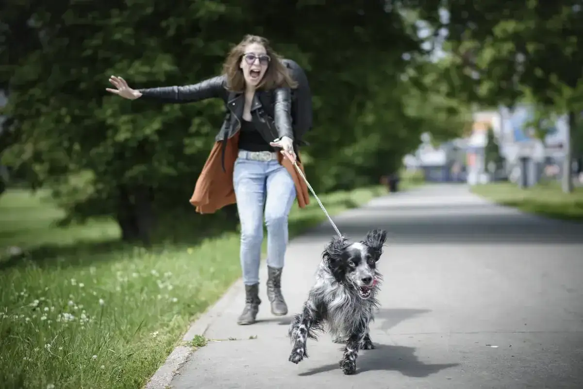 &iexcl;Ayuda! Mi perro tira de la correa, &iexcl;me arrastra por el parque!