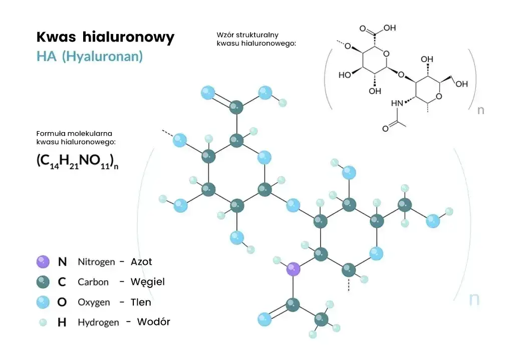 kwas hialuronowy wiązanie wody schemat