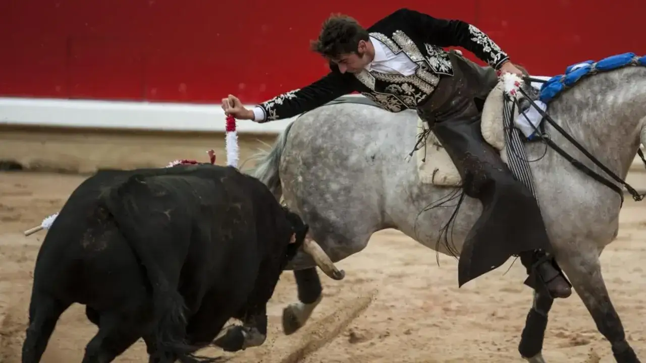Roberto Armendariz, con su traje de luces, clava una banderilla a un toro negro desde su caballo gris en la arena.