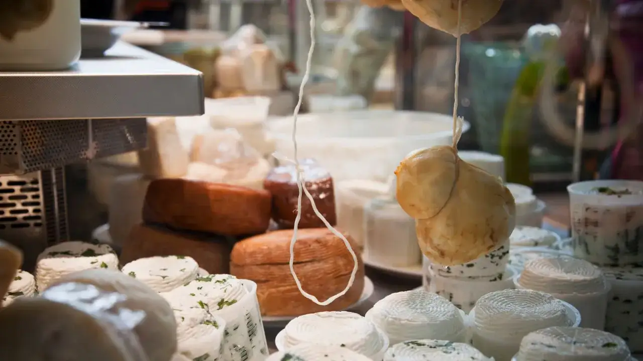 Varietà di formaggi freschi e stagionati, alcuni con erbe aromatiche, altri appesi. Un'esplosione di sapori dal latte.