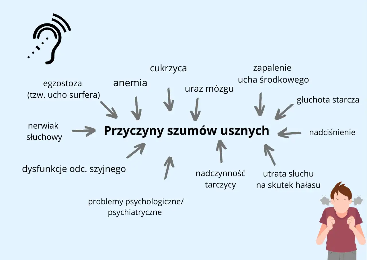 Schemat przyczyn szumów usznych