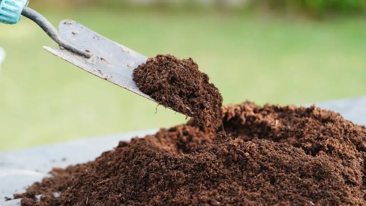 En spade fylls med m&ouml;rk, n&auml;ringsrik torvfri jord. Perfekt f&ouml;r dina v&auml;xter och en b&auml;ttre milj&ouml;.