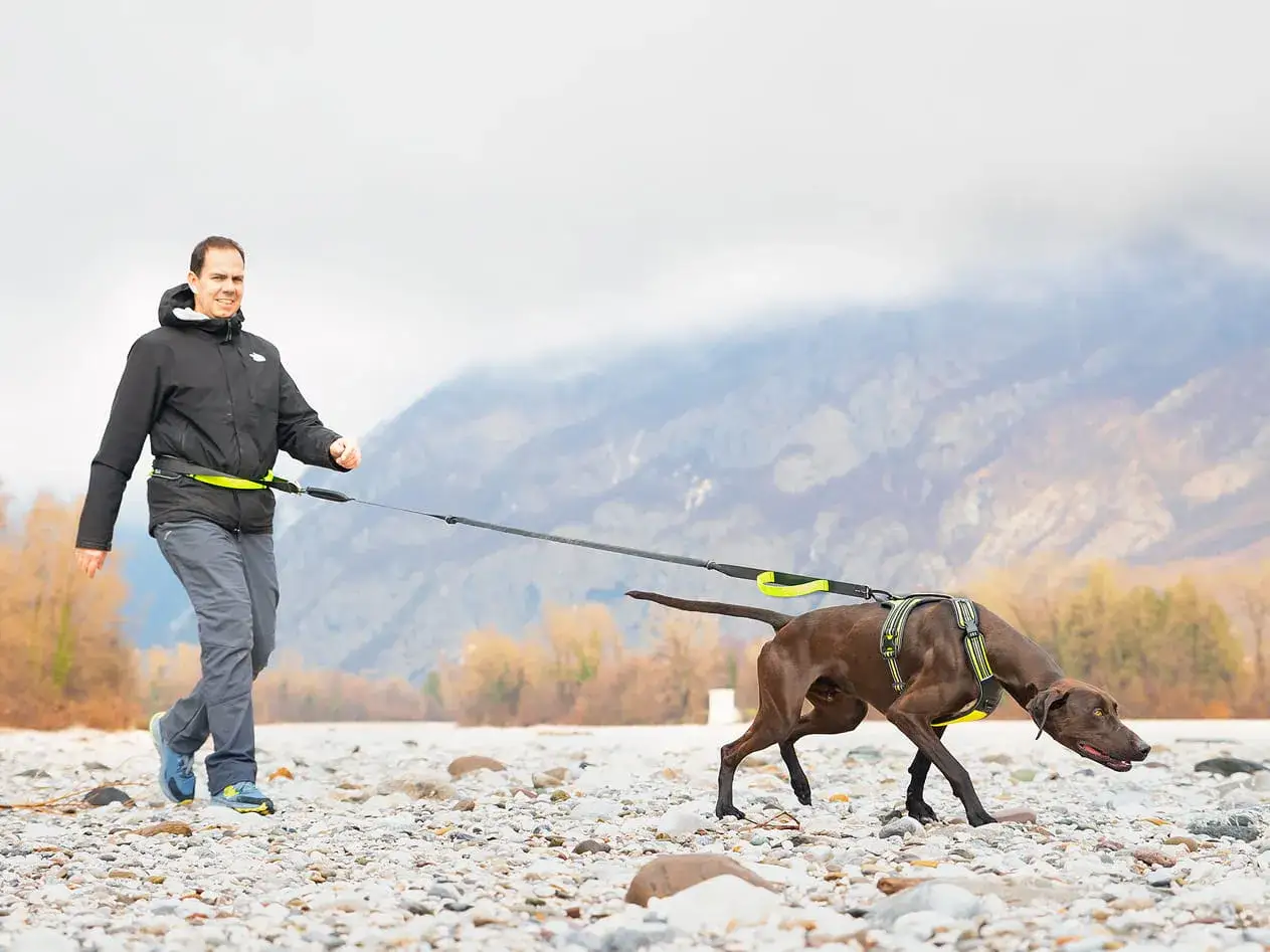 Man springer med hund och använder en speciell utrustning för att springa med hund.