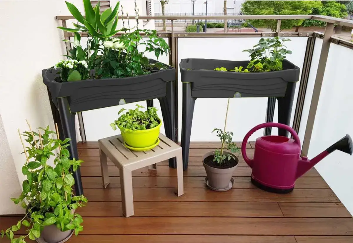 Deux bacs de culture surélevés, un wicking bed, abritent des plantes variées sur un balcon en bois. Une arrosoir rose est à proximité.