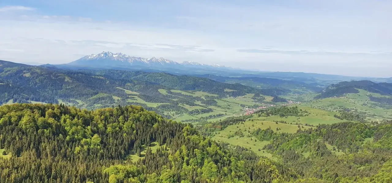 Widok na zielone wzgórza i lasy Małych Pienin, z ośnieżonymi Tatrami w tle.