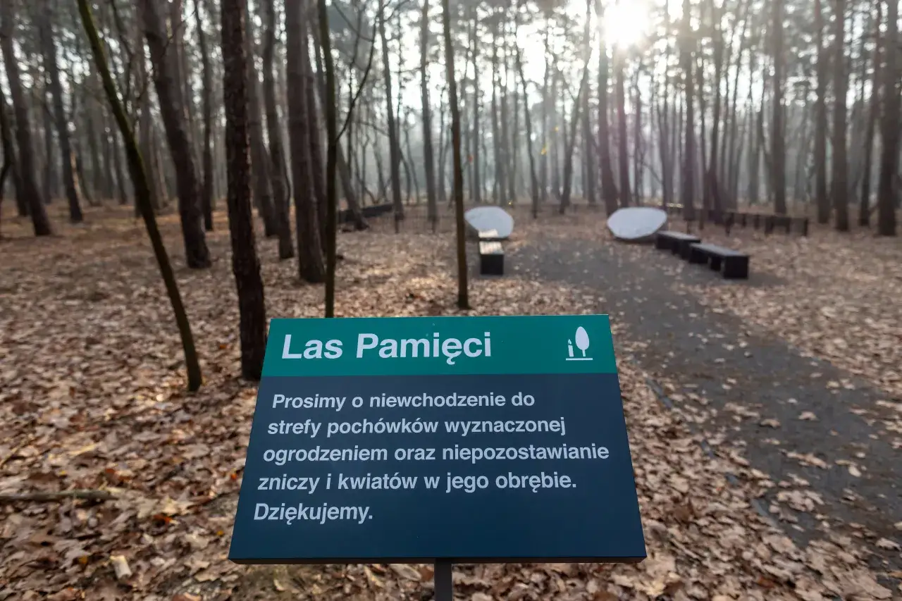 Las Pamięci. Czy w Polsce można rozsypywać prochy zmarłych? Tu prosi się o niezakłócanie strefy pochówków.