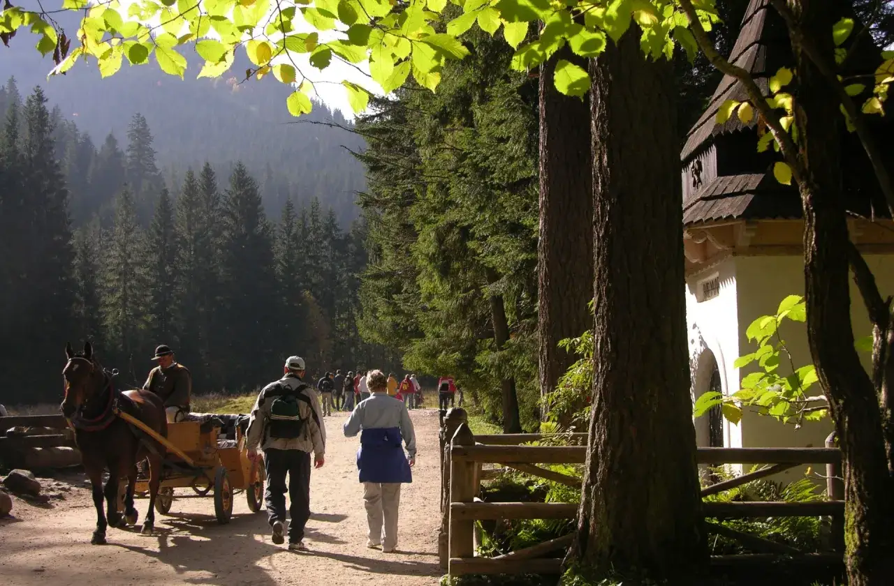 Dolina Kościeliska Zakopane