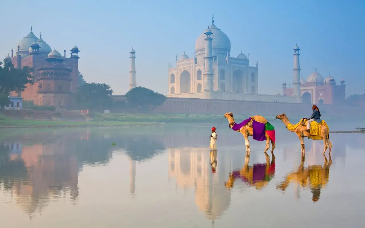 Dos camellos adornados cruzan un río tranquilo frente al majestuoso Taj Mahal, una escena icónica para viajar a la India.