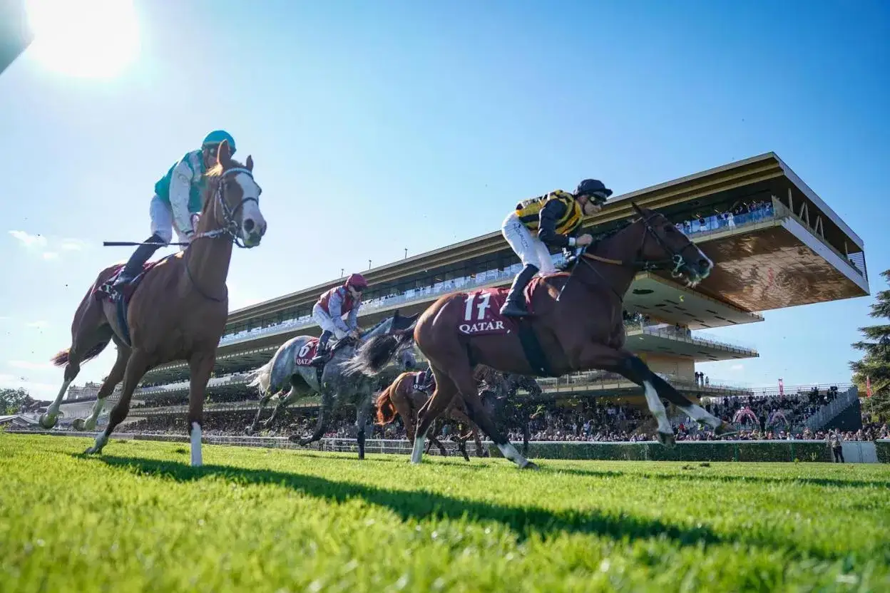 Course de chevaux, la vitesse d'un cheval au galop est impressionnante, avec des jockeys en action devant une tribune bondée.