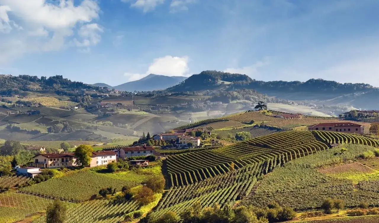 Colline ondulate delle Langhe, con vigneti ordinati che si estendono a perdita d'occhio. Case sparse e montagne sullo sfondo, un paesaggio da sogno per il **Barolo Langhe**.