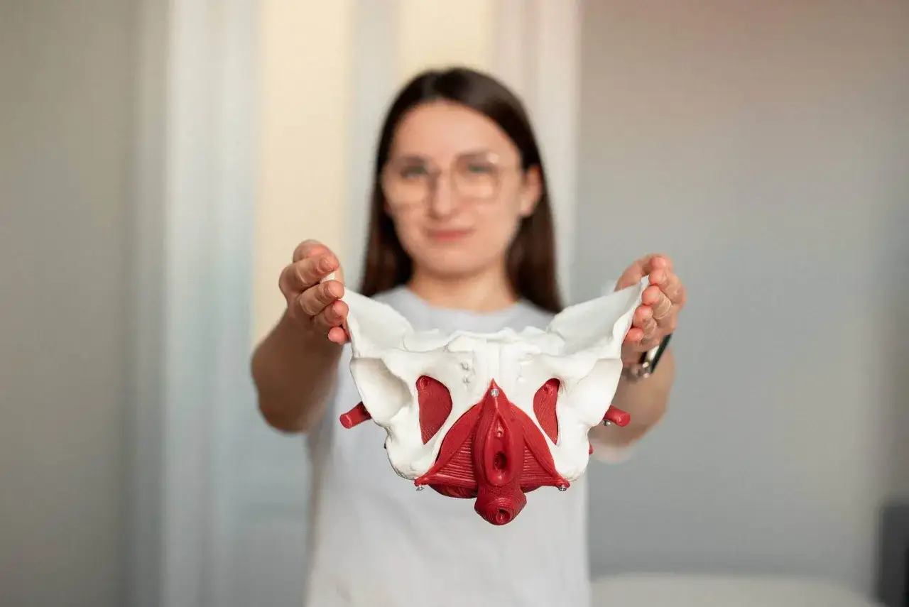 Fizjoterapeutka pokazuje model miednicy, kluczowy w leczeniu nietrzymania moczu.