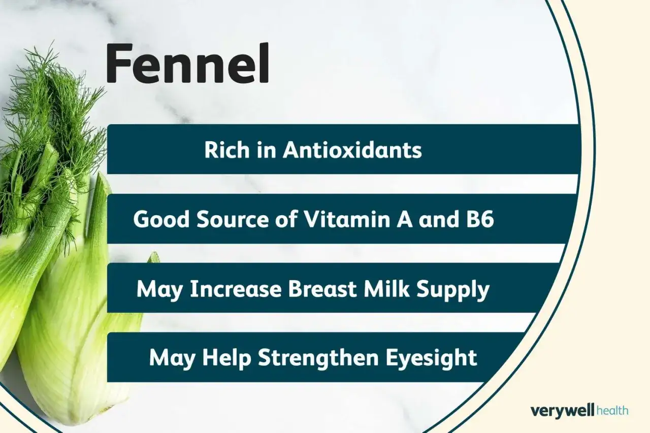 Le fenouil, riche en antioxydants, est une bonne source de vitamines A et B6. Ses graines peuvent aider la lactation et la vue.