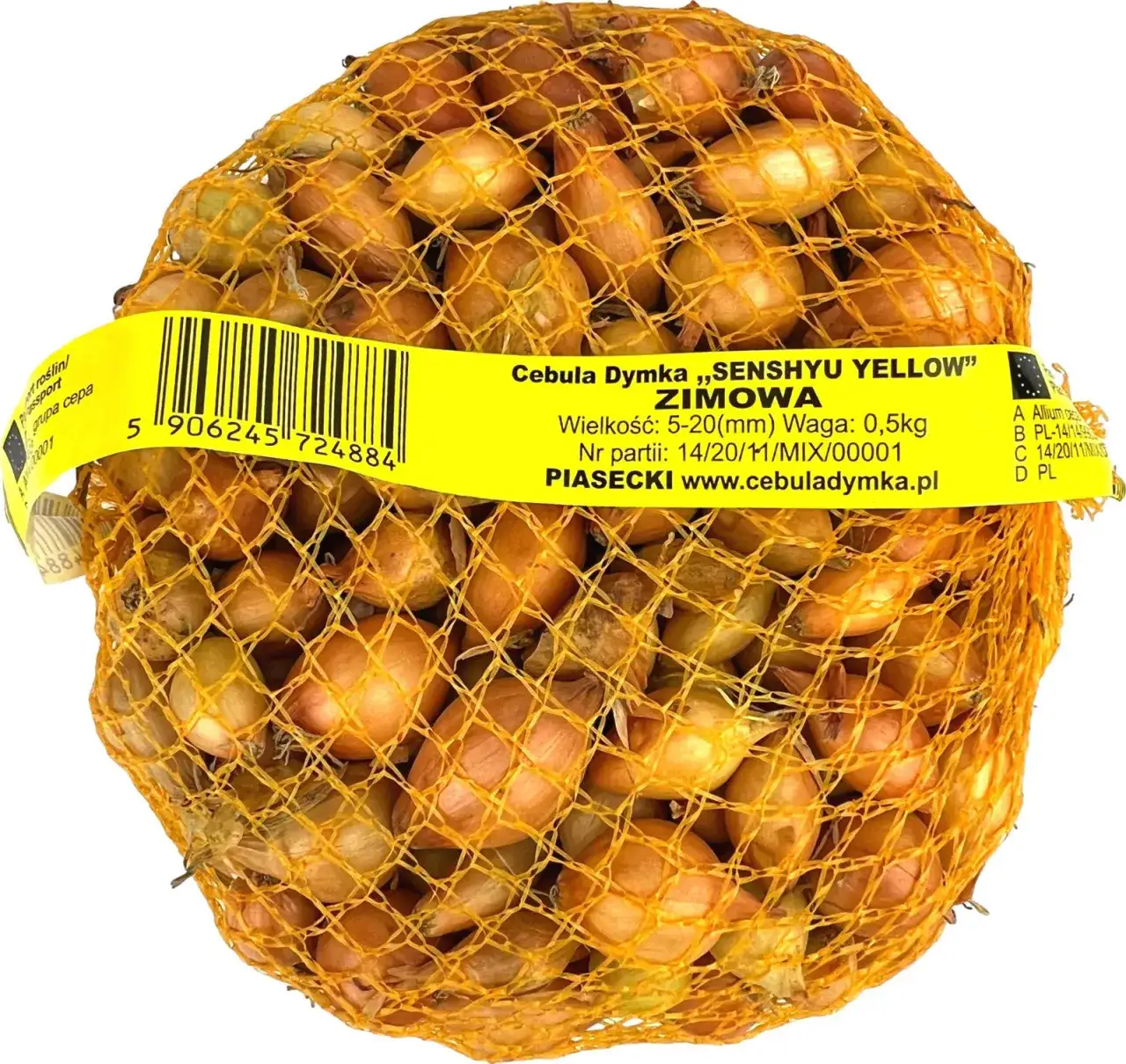 cebula dymka ozima