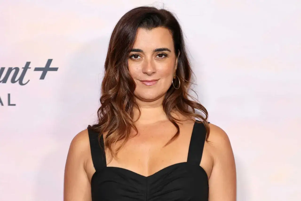 Cote de Pablo, mit braunen, gewellten Haaren und einem L&auml;cheln, tr&auml;gt ein schwarzes Kleid und goldene Ohrringe.
