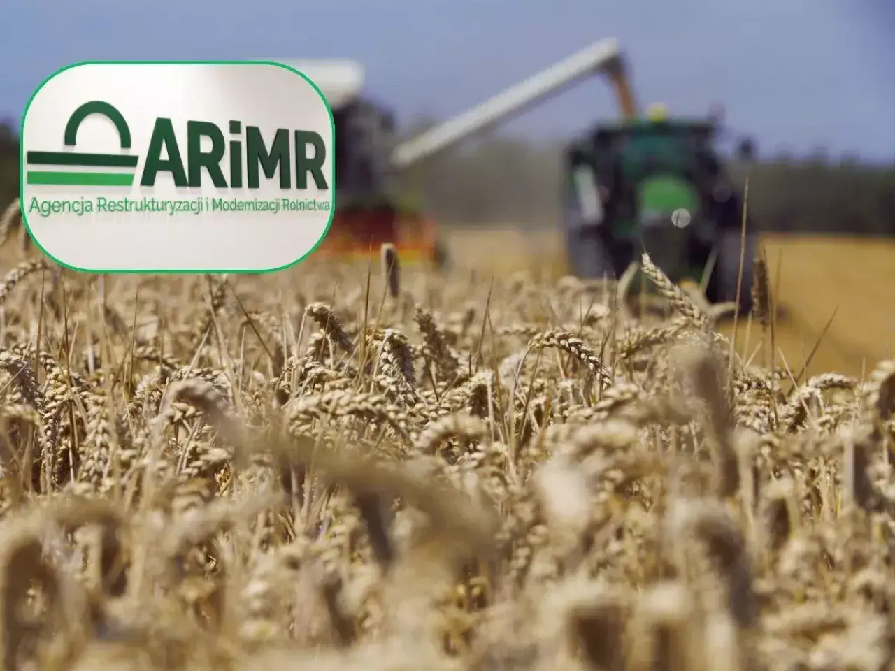 Żniwa pszenicy w 2024 roku. W tle kombajn i traktor. Logo ARiMR.