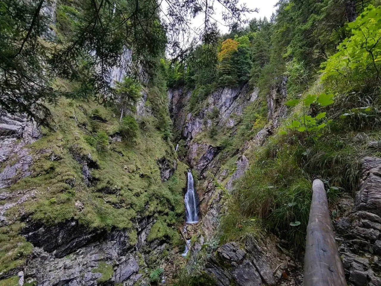 Steiler Wasserfall in der Reichenbachklamm, umgeben von Felsen und &uuml;ppiger Vegetation. Ein Baumstamm dient als Wegweiser auf dieser Wanderung.
