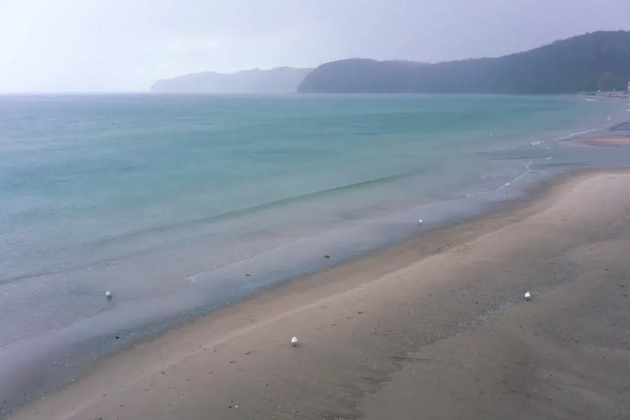 En gr&aring;mulen dag vid &Ouml;stersj&ouml;kusten, perfekt f&ouml;r en lugn badsemester i Tyskland. M&aring;sarna str&ouml;var p&aring; stranden.