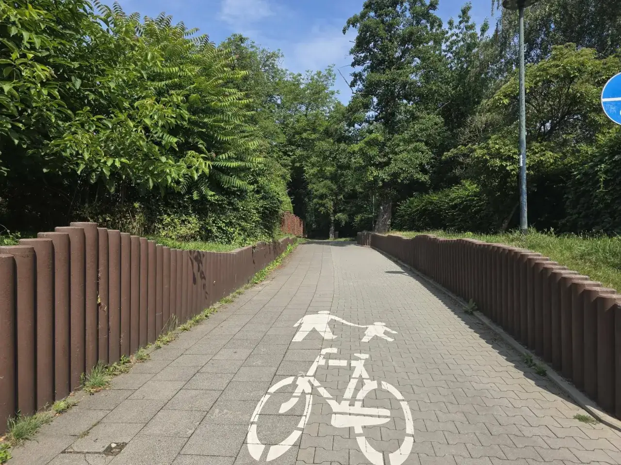 Ścieżka rowerowa w parku Młyn&oacute;wka Kr&oacute;lewska, z białym symbolem roweru i postaci.