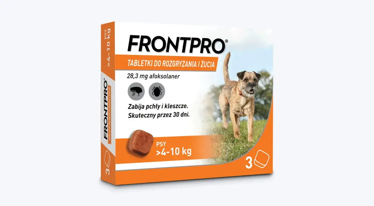 pies z tabletką na kleszcze