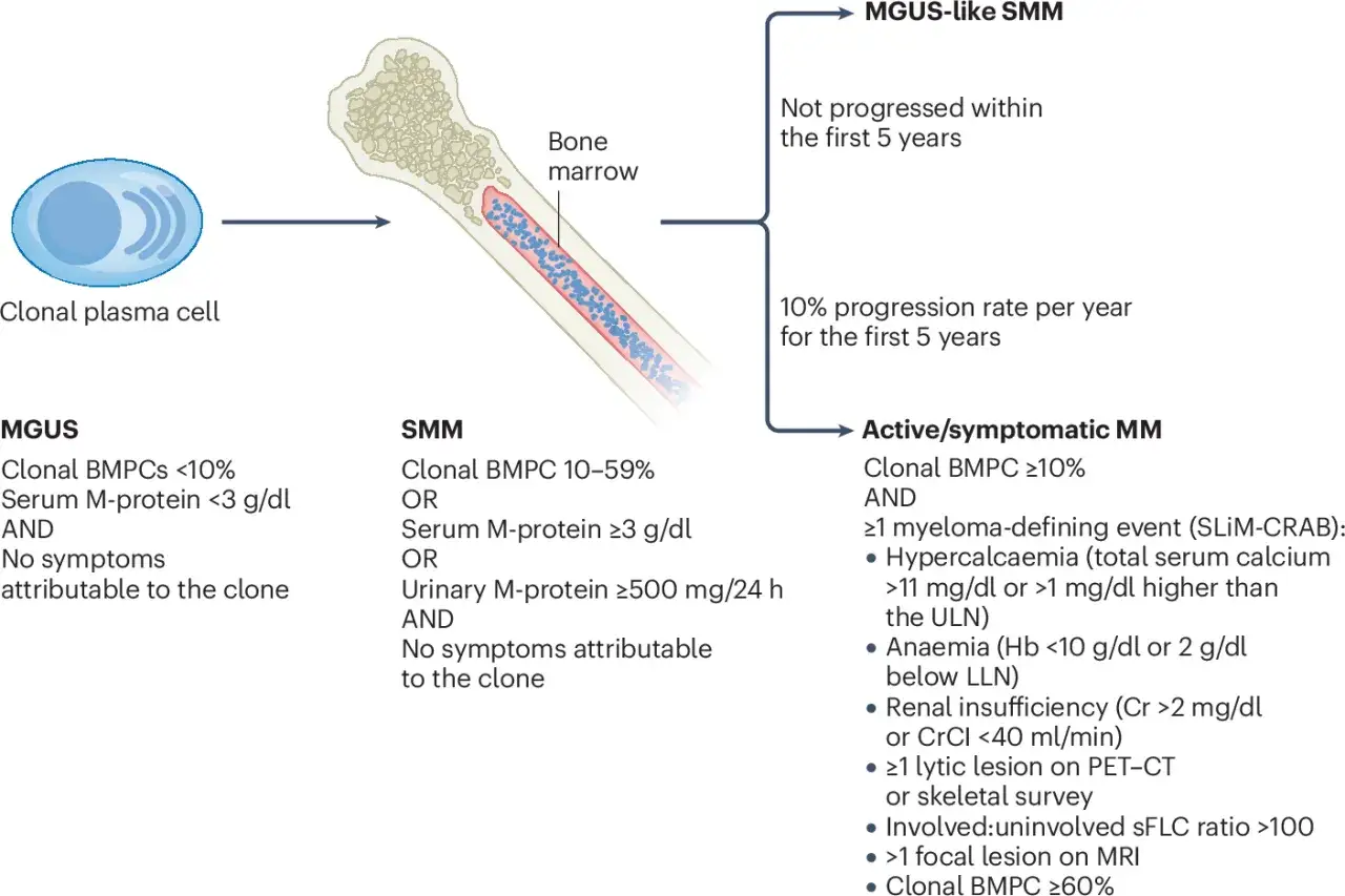 Schema zeigt die Entwicklung von MGUS zu SMM und schwelendem Myelom. Es erkl&auml;rt Kriterien f&uuml;r MGUS, SMM und aktives Myelom.