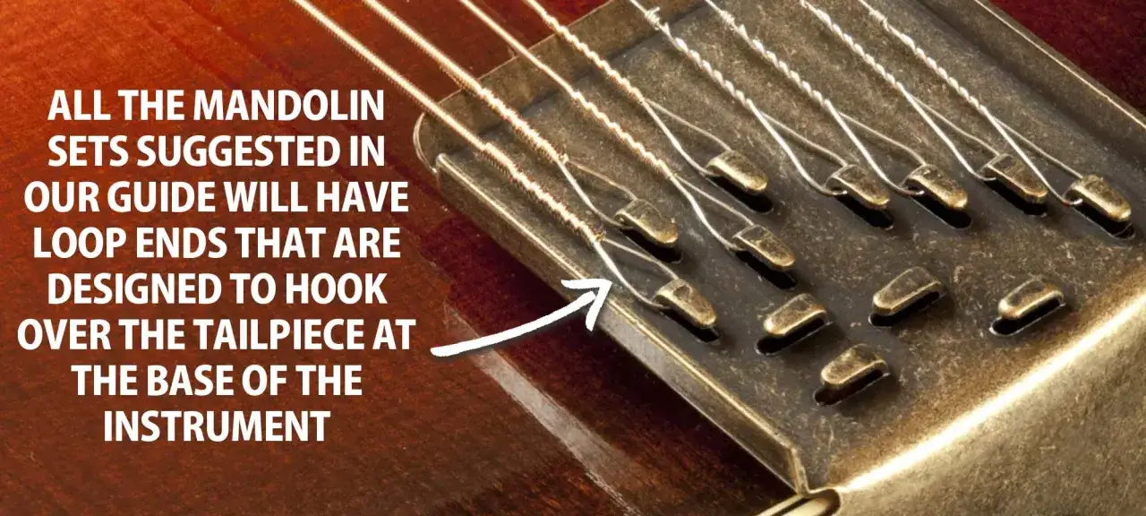 Gros plan sur le cordier d'une mandoline instrument, montrant les boucles des cordes pr&ecirc;tes &agrave; &ecirc;tre accroch&eacute;es.