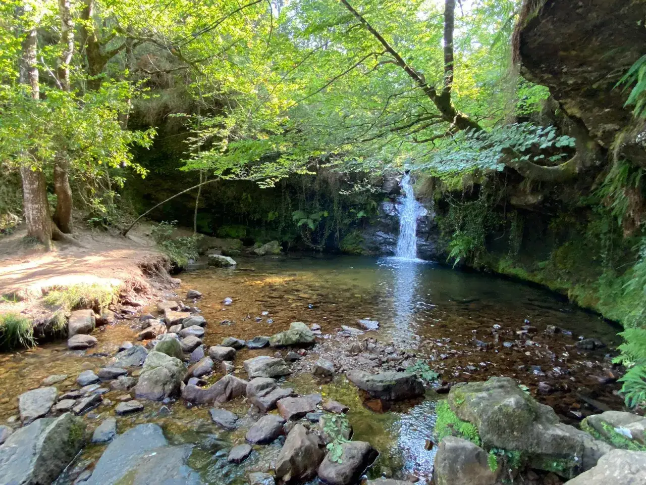 Cascada en un arroyo cristalino, rodeado de vegetación exuberante y rocas. Un rincón idílico en el **valle de Cabuérniga**.