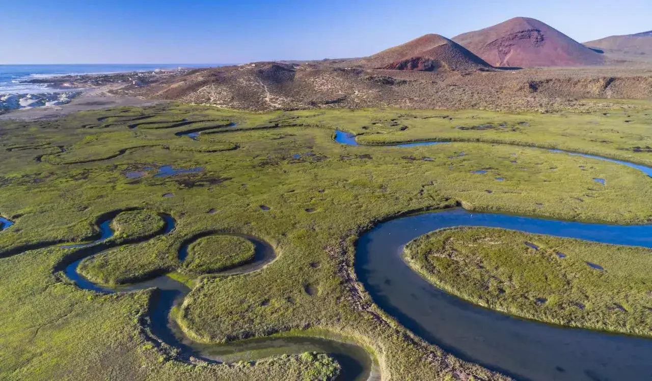 Paisaje de humedales serpenteantes y dunas costeras, ideal para descubrir qué ver en Baja California.