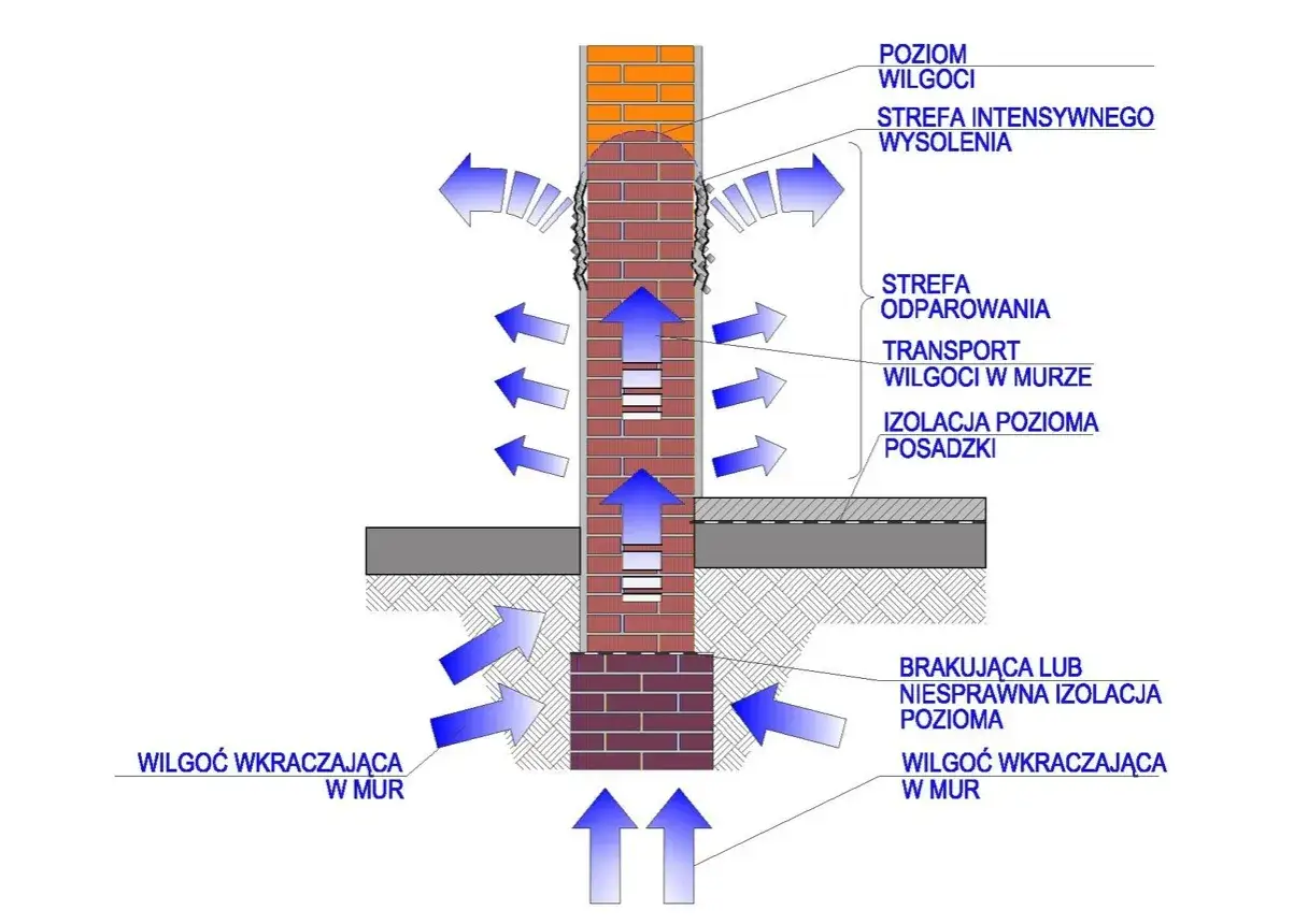 Schemat ilustruje problem wilgoci w murze, wskazując na jej wnikanie od gruntu i proces osuszania fundamentów.