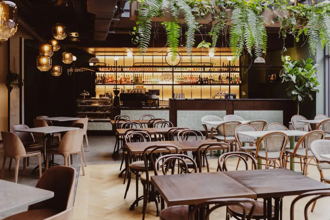 Eleganckie wnętrze z wiszącymi roślinami, barem pełnym alkoholi i stolikami. Idealne miejsce na odkrycie najlepszych restauracji w Poznaniu.