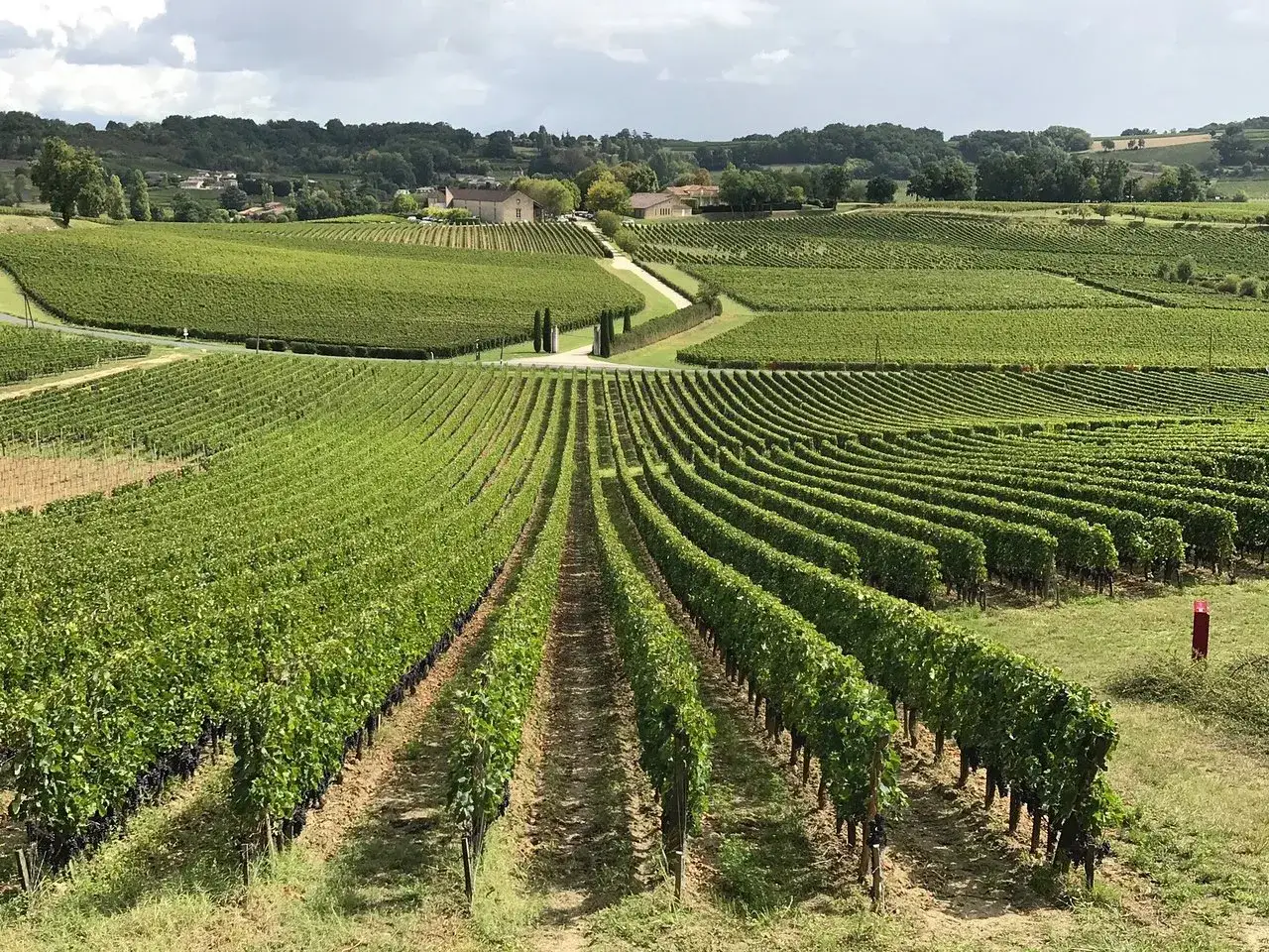 Vaste distese di vigneti verdi si estendono dolcemente verso un casolare, evocando la serenità del **Chateau Saint-Emilion**.