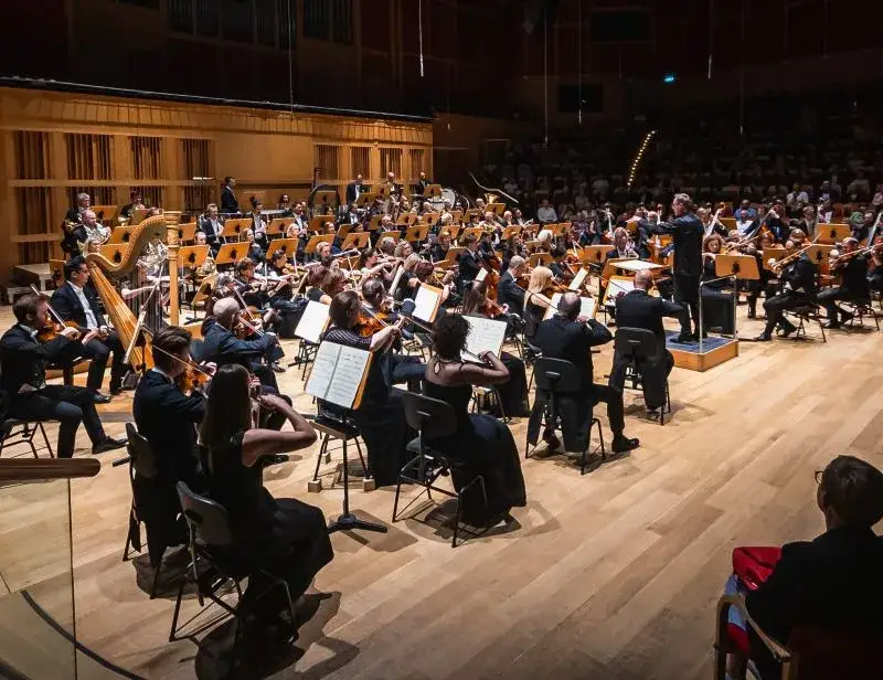 różne rodzaje koncertów w filharmonii, orkiestra kameralna, orkiestra symfoniczna, koncert dla dzieci