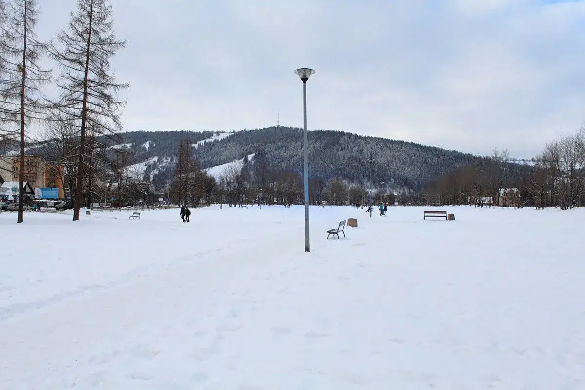 Zimowe **Zakopane z wózkiem** to widok na ośnieżony park, gdzie ludzie spacerują pośród drzew i gór.