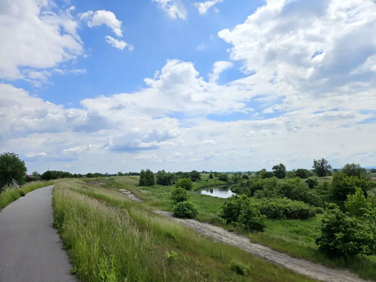 Piękny dzień na **wiślanej trasie rowerowej Oświęcim - Kraków**. Droga wije się wśród zieleni, a Wisła płynie spokojnie.