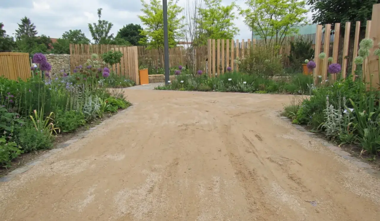 Ein Weg aus hellem Kies führt durch einen Garten mit lila Zwiebelblumen und üppigem Grün. Naturnahe Gartenwege laden zum Spazieren ein.