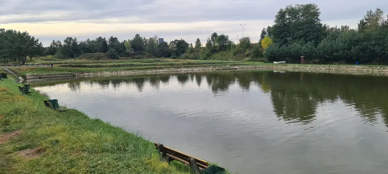 Spokojne łowiska komercyjne Dolny Śląsk, z zielonymi brzegami i odbijającymi się w wodzie drzewami. Idealne miejsce na relaks.