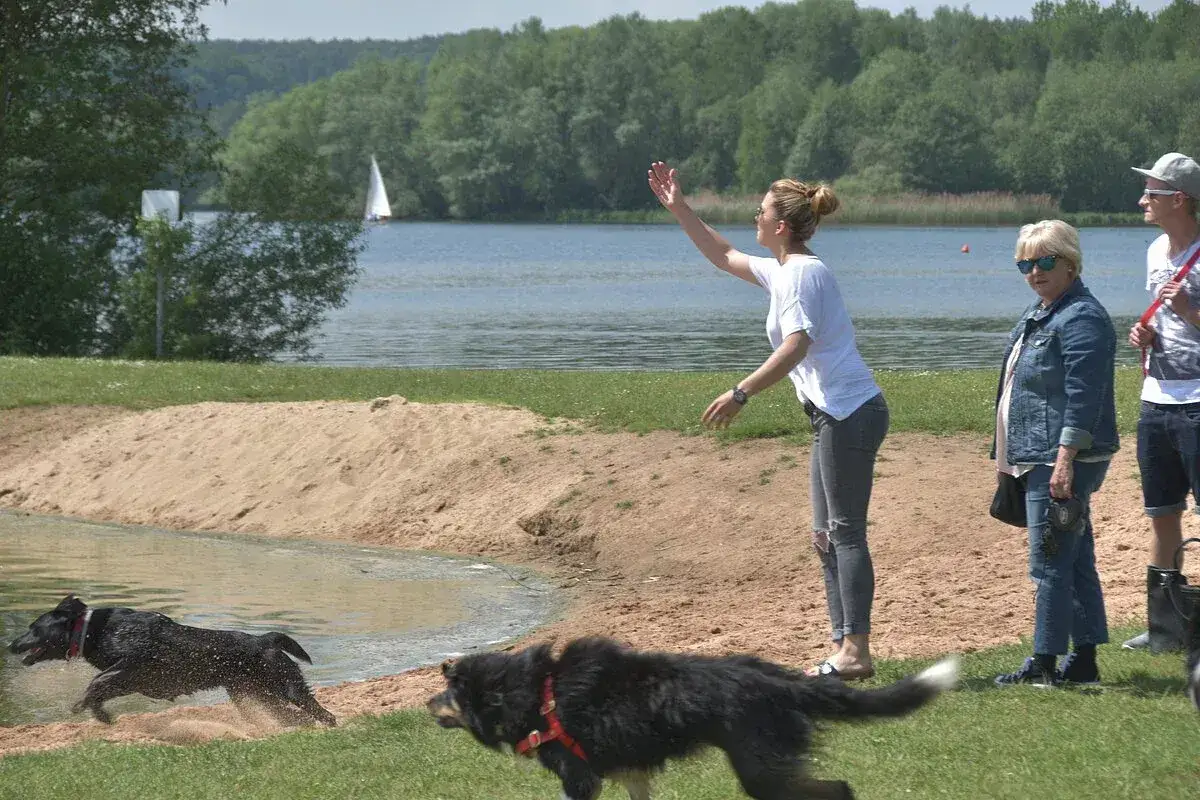 Hunde planschen am Brombachsee Hundestrand, w&auml;hrend eine Frau ihnen zuwinkt. Im Hintergrund segelt ein Boot.