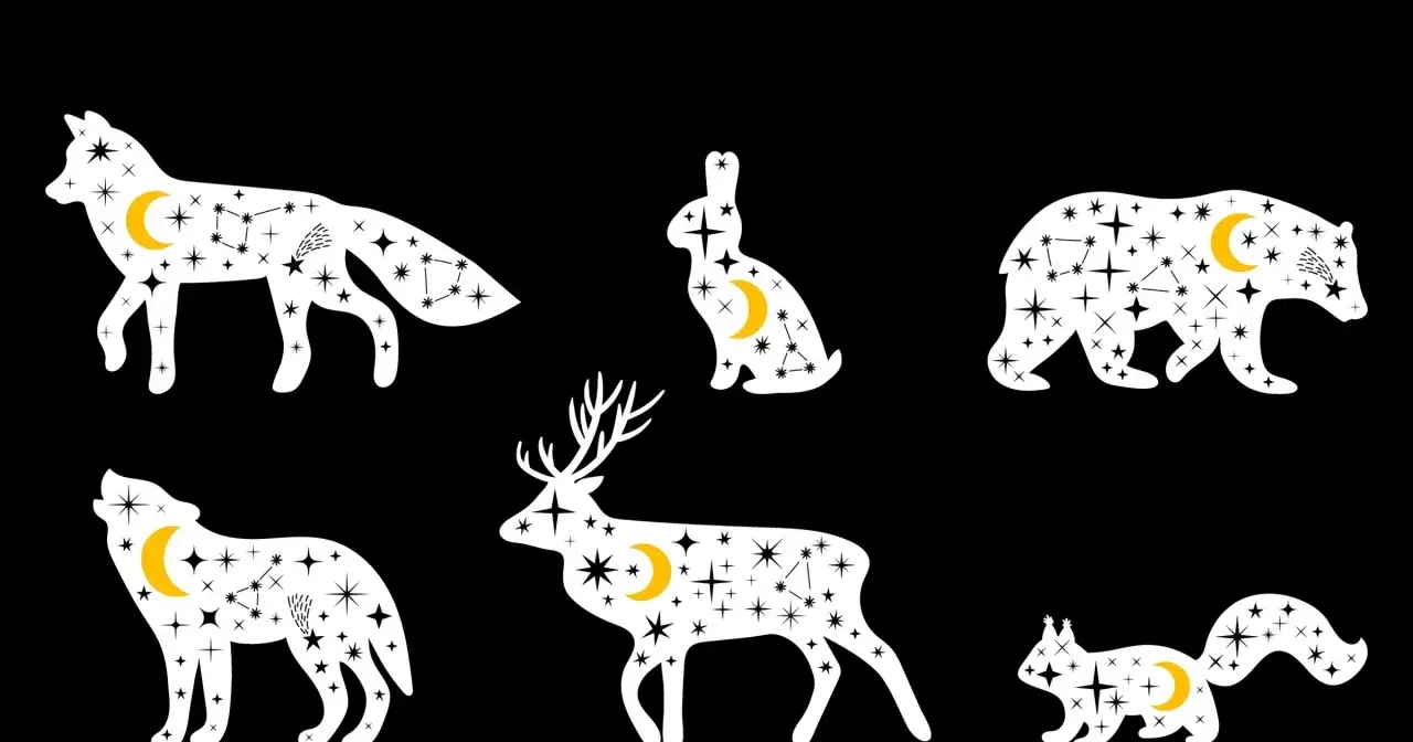 Zwierzęta nocne, jak lis, wilk, zając, niedźwiedź, jeleń i wiewiórka, wypełnione gwiazdami i księżycem, niczym duchowy przewodnik po nocnym niebie.