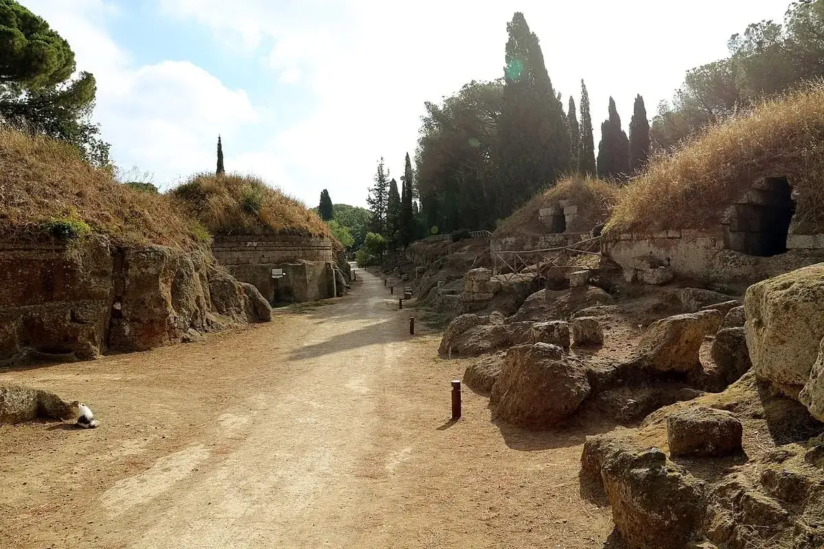 A cat rests near a path winding through the ancient tombs of the Cerveteri Necropolis, with cypress trees lining the horizon.