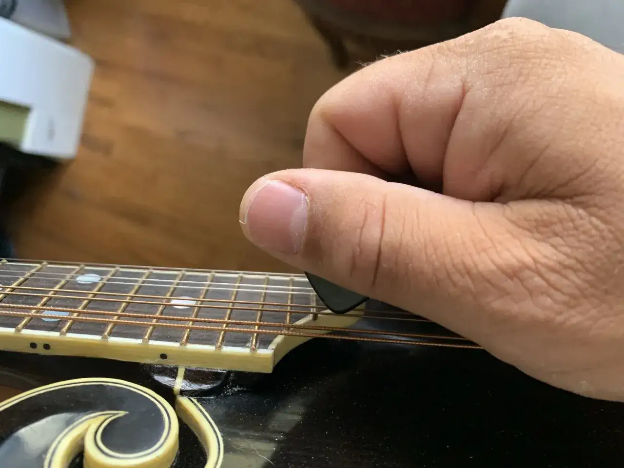 Nahaufnahme einer Hand, die mit einem Plektrum über die Saiten einer Mandoline streicht. Eine Mandoline hat typischerweise acht Saiten.
