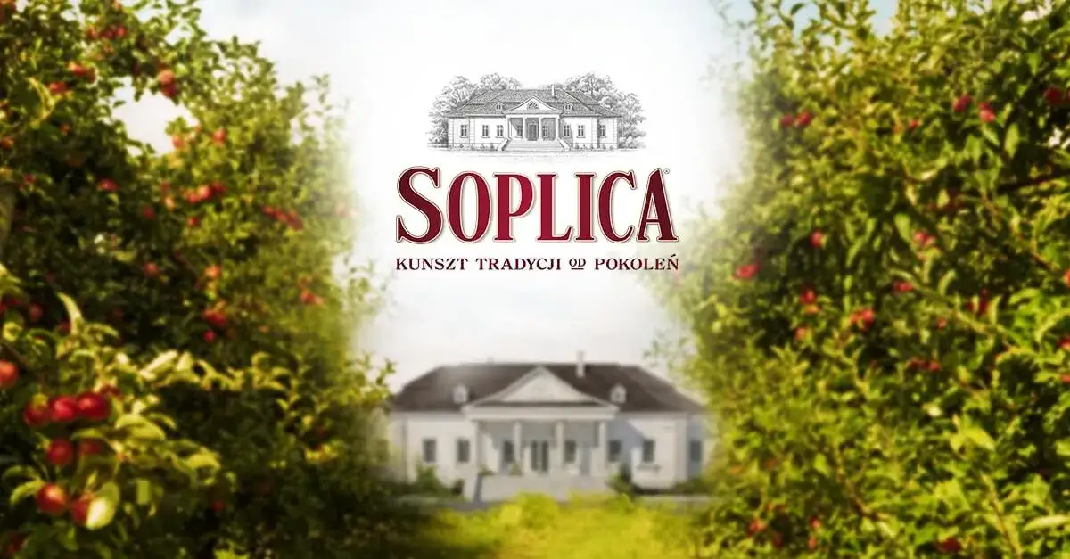 Zdjęcie Soplica drink: proste przepisy na pyszne drinki w domu